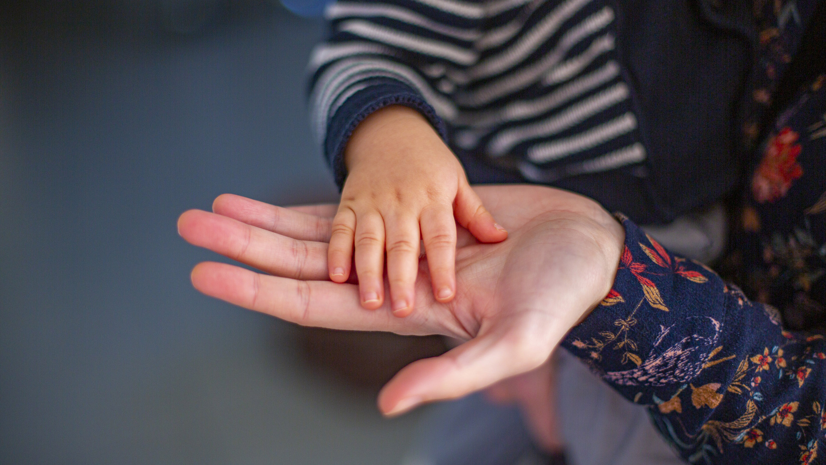Atelier Naturo Kids enfants